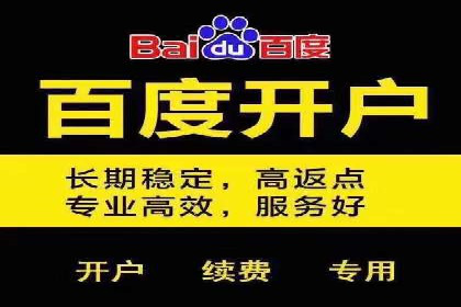 SEM竞价推广案例：电商行业成功案例解析